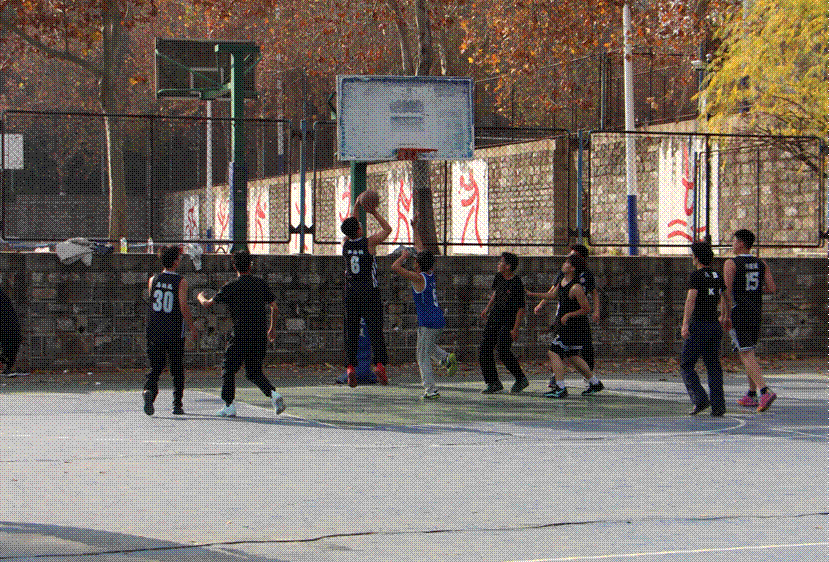 IMG_7807(1) IMG_7807(1)