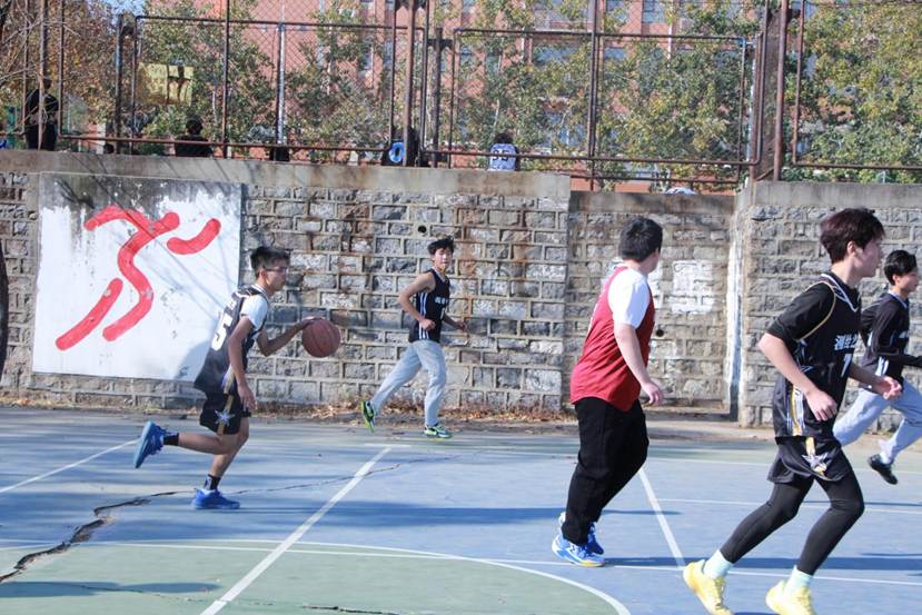 IMG_7240(1) IMG_7240(1)