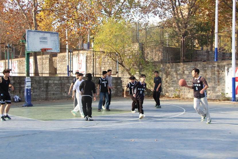 IMG_7103(1) IMG_7103(1)