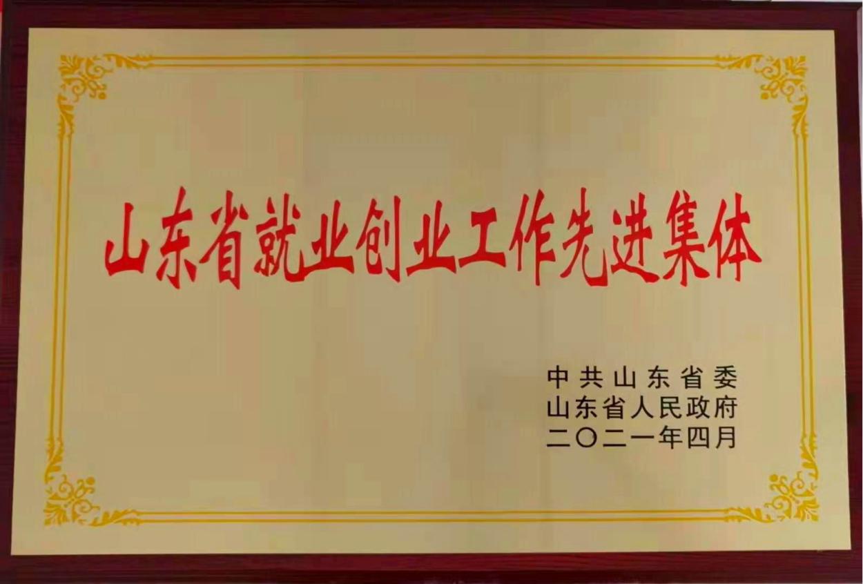 图5:被省委省政府授予山东省就业创业工作先进集体