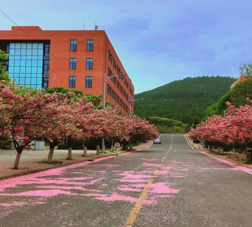 山东建筑大学法学院图片