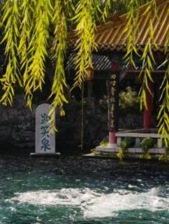 20e3c97a4f9fed0d9804c76c19647e6d