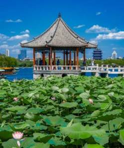 850f8bb9849e33882927b8d9db3e7969