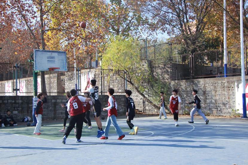 IMG_7177(1) IMG_7177(1)