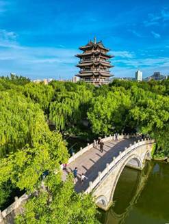 55969bb175b04ae1c8cb00cd0205254f